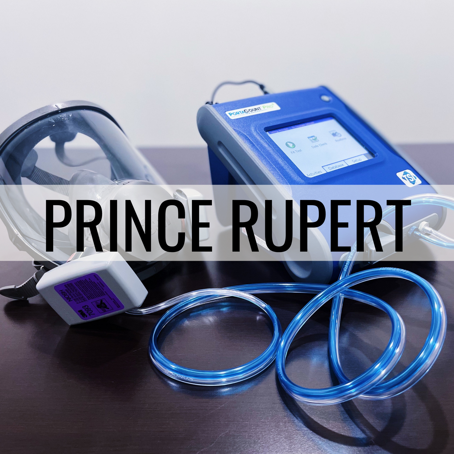 Quantitative Fit Test: Prince Rupert