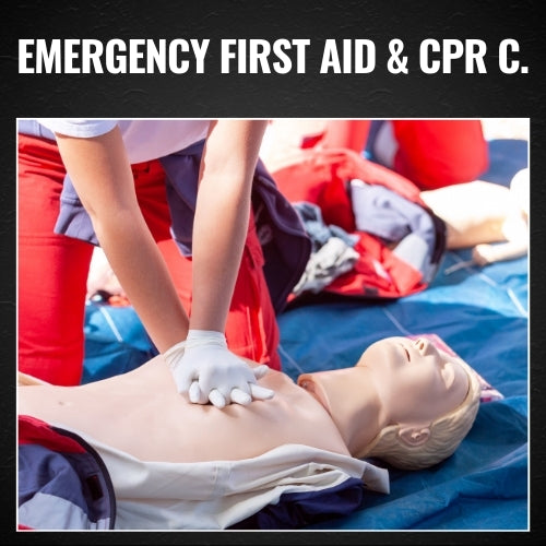 Emergency First Aid and CPR C (Red Cross): Masset, BC